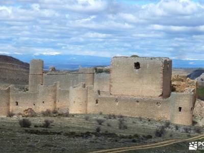 Cañón Caracena; Encina  Valderromán; guia senderismo revistas de senderismo rutas de senderismo e